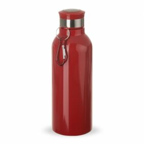 Squeeze Inox 700ml